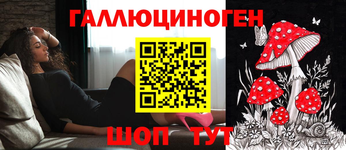 Галлюциногенные грибы прущие грибы Хасавюрт