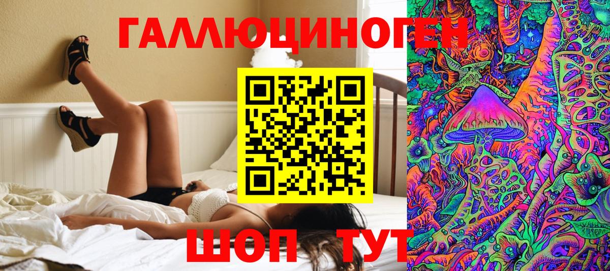 Псилоцибиновые грибы ЛСД  Вход с VPN  Хасавюрт  Галлюциногенные грибы Psilocybe 